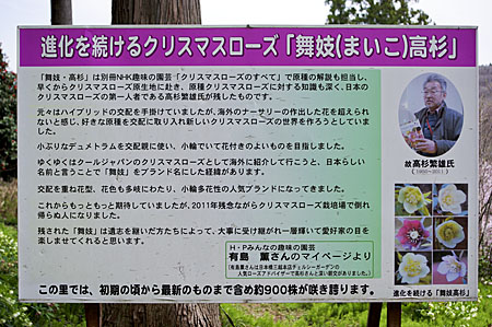 高杉さんの功績
