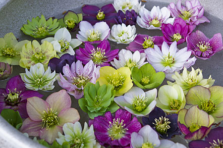 花手水